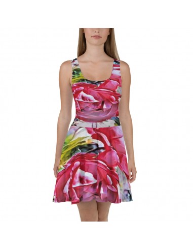 Skater Dress 2023