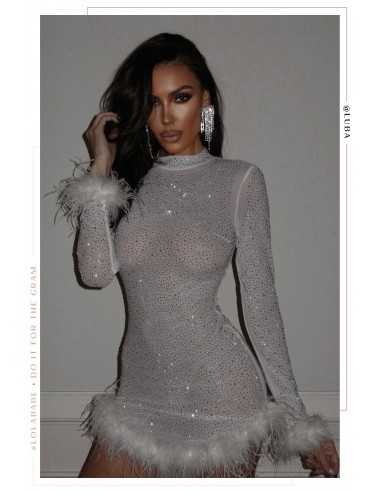 Your Dream Girl Embellished Mesh Mini Dress - White Le MVP de beaucoup