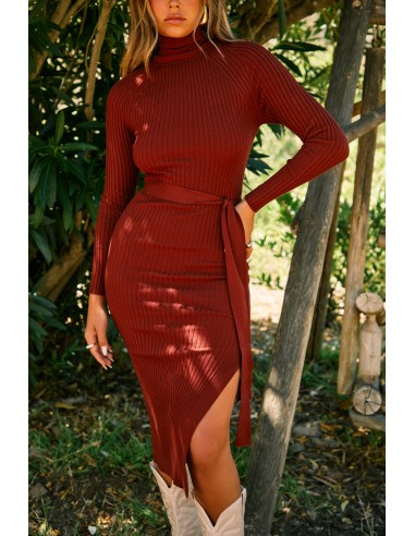 Janessa Turtle Neck Midi Dress - Brick en stock