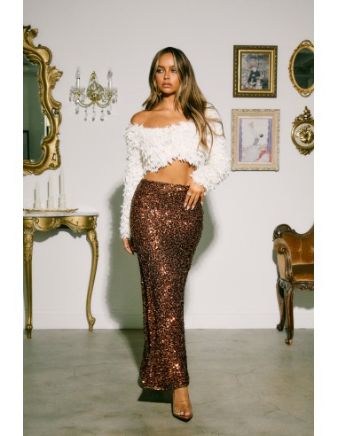 Delana Sequins Maxi Skirt - Brown Dans la société mordern