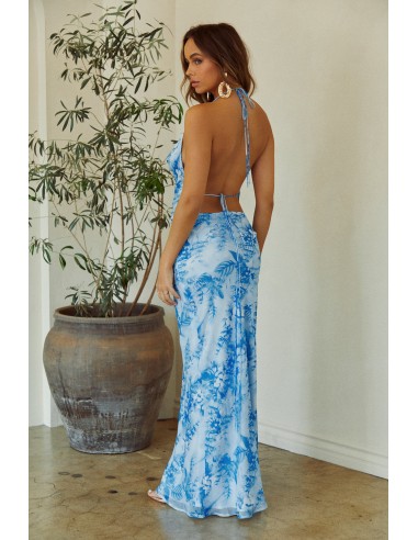 Brisia Cowl Neck Maxi Dress - Blue paiement sécurisé